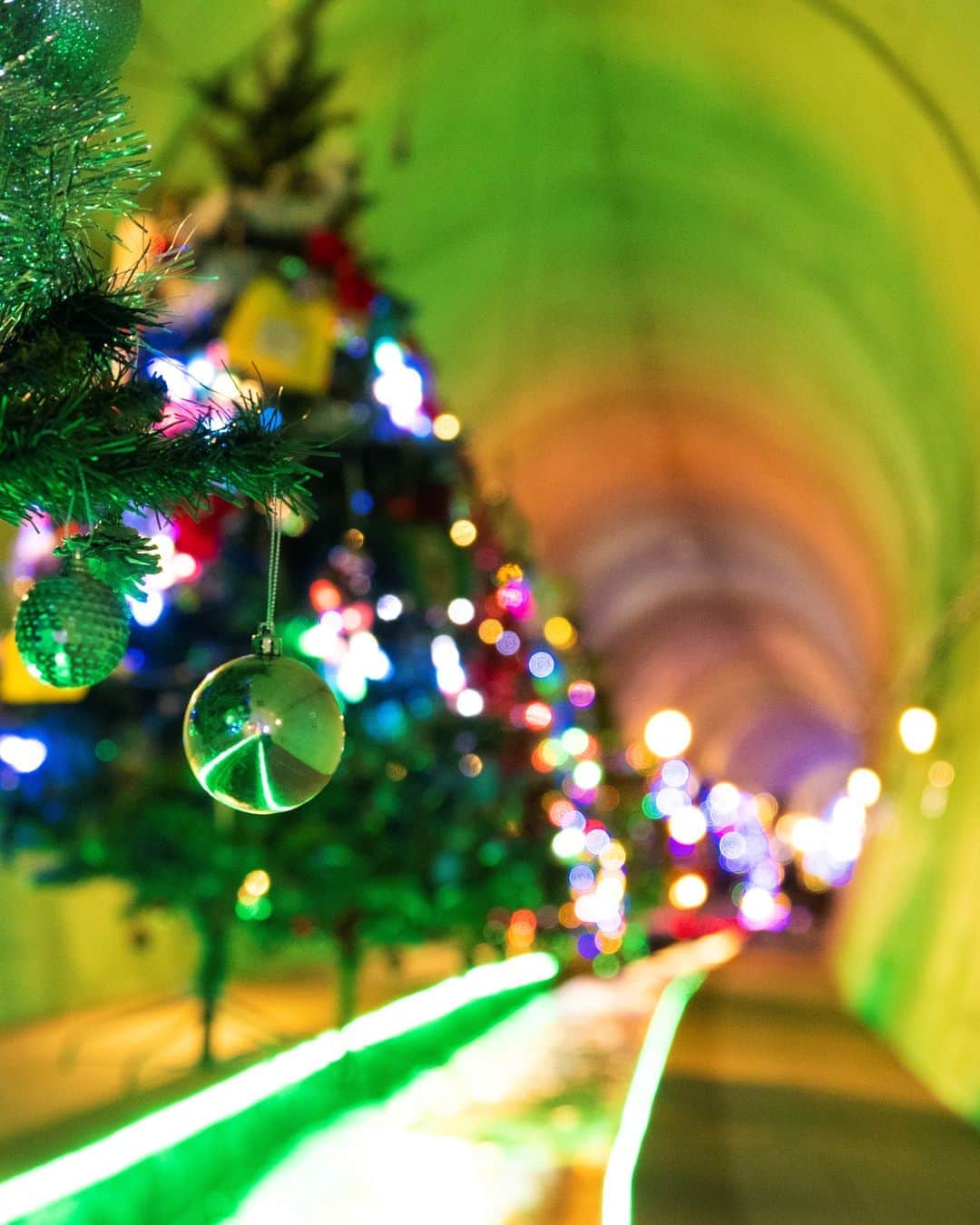 九州電力さんのインスタグラム写真 - (九州電力Instagram)「トンネル内でイルミネーション😲✨⁉ . 熊本県阿蘇郡の #高森湧水トンネル公園 では、約50団体が飾り付けたツリーがトンネル内に並ぶ「高森湧水トンネルクリスマスファンタジー」が開催中です🎄💓 . 【開催日時】2019年12月31日（火）まで 【点灯時間】9:00～17:00 ※12月21日・22日は1時間延長 . 📍高森湧水トンネル公園 . . #九州電力 #kyuden #九電 #九州の灯り #九州ぐらむ #広がり同盟 #九州旅行 #九州 #九州愛 #kyushu #熊本観光 #japan_bestpic_ #japanlandscape #kumamoto #japanview #christmasillumination #クリスマスツリー🌲 #クリスマスイルミネーション #イルミネーション2019 #幻想的な世界 #高森町 #高森湧水トンネル #トンネル #トンネル好き #阿蘇郡高森町 #公園散歩 #クリスマスツリー飾り付け #トンネルマニア #クリスマスファンタジー」12月20日 17時00分 - kyuden_official