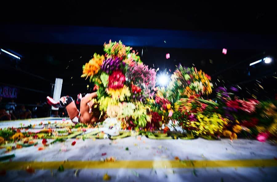東信さんのインスタグラム写真 - (東信Instagram)「FLOWER AND MAN - Wrestler -  #azumamakoto #shiinokishunsuke #amkk #amkkproject #flowerandman #flowers #flowerart #東信 #東信花樹研究所 #makotoazuma #wrestler #wrestling #backdrop」12月20日 17時07分 - azumamakoto