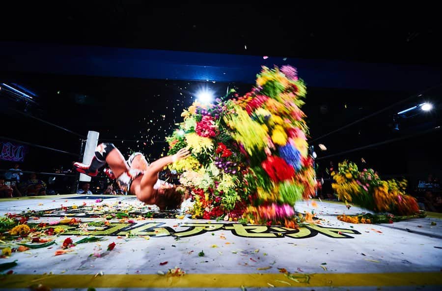 東信さんのインスタグラム写真 - (東信Instagram)「FLOWER AND MAN - Wrestler -  #azumamakoto #shiinokishunsuke #amkk #amkkproject #flowerandman #flowers #flowerart #東信 #東信花樹研究所 #makotoazuma #wrestler #wrestling #backdrop」12月20日 17時07分 - azumamakoto