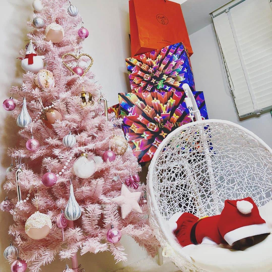 mycoのインスタグラム：「Santa Claus is coming‼︎ わーい🙌わーい🙌  お疲れ様サンタさん🎅 こくりこくり船こいでるー😪 プレゼント配りが徹夜だったようですね！ 꾸벅꾸벅😴💤 #xmas #santaclaus #santaclausiscoming」