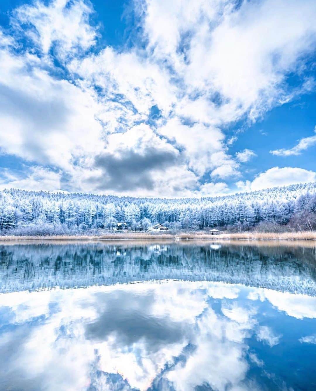 aumoさんのインスタグラム写真 - (aumoInstagram)「【#白銀の世界×#冬の絶景】. 長野県で撮影されたお写真❄️⛷. 木々が真っ白に染まり、まさに白銀の世界ですね😳😳✨ . Credit：@ozirom さん 素敵なお写真をありがとうございます！ . あなたが撮影した素敵な写真に 「#aumo」を付けて教えてください♡ あなたの投稿が明日紹介されるかも♪ . aumoアプリは毎日配信！おでかけや最新グルメなどaumo読者が気になる情報が満載♡ ダウンロードはプロフィールのURLから✔︎ (iPhone&Android版) . . #長野#長野観光#長野旅行#インスタ映え #インスタ探検隊 #女子旅#絶景#旅#team_jp_ #igersjp #japan_daytime_view #wu_japan  #bestjapanpics #japan_of_insta #art_of_japan_ #ptk_japan #photo_jpn #lovers_nippon #tokyocameraclub #あなたとみたい景色」12月20日 17時34分 - aumo.jp
