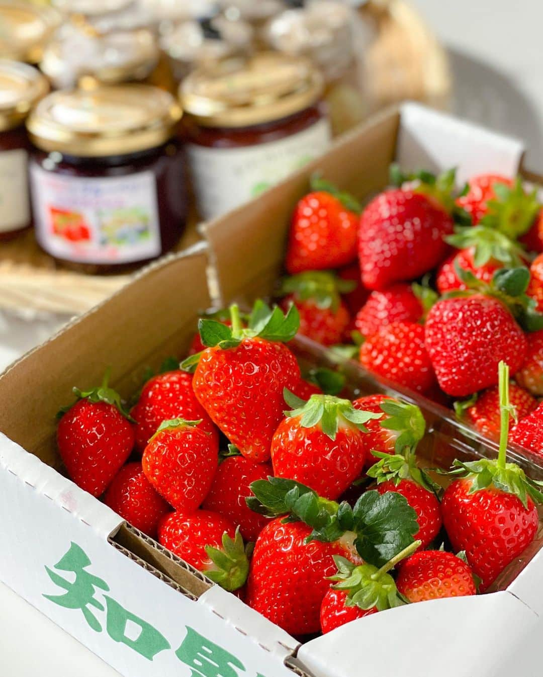 Little Miss Bento・Shirley シャリーさんのインスタグラム写真 - (Little Miss Bento・Shirley シャリーInstagram)「Kagoshima Day 2: Best way of spending midday is strawberry picking and jam making at Maeda Strawberry Farm.  This is also the start of the best season for ichigo 🍓  Super juicy strawberries hand picked, and I also made 4 jars of homemade strawberries. So yummy and so pure, no other added items except sugar and some lemon juice.  Highly recommend this as one of your activities when you visit Minami Kyushu, Kagoshima.  https://www.maeda-ichigo.com/en/ #visitkagoshima #kagoshima #explorekagoshima #visitjapan #maedastrawberryfarm #ichigo #strawberrypicking #minamikyushu」12月20日 18時43分 - littlemissbento