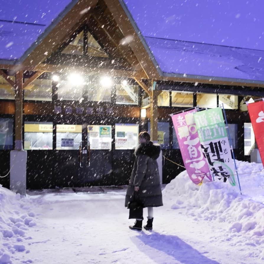 木本泉のグルメインスタ