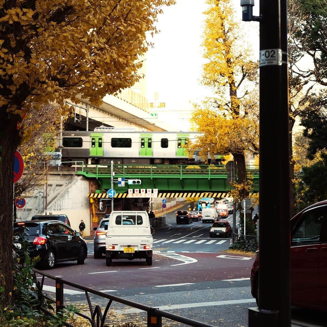 KEISUKE SYODAさんのインスタグラム写真 - (KEISUKE SYODAInstagram)「A day in the life :) #tokyo #park #autumn #rug」12月20日 19時02分 - keisukesyoda