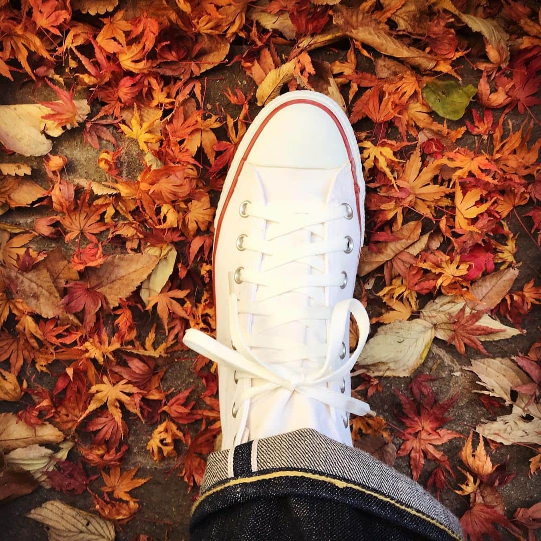 加藤章太郎さんのインスタグラム写真 - (加藤章太郎Instagram)「ただいま！ ウチの🍁も真っ赤っ赤 #autumnleaves」12月20日 20時18分 - __shotaro__