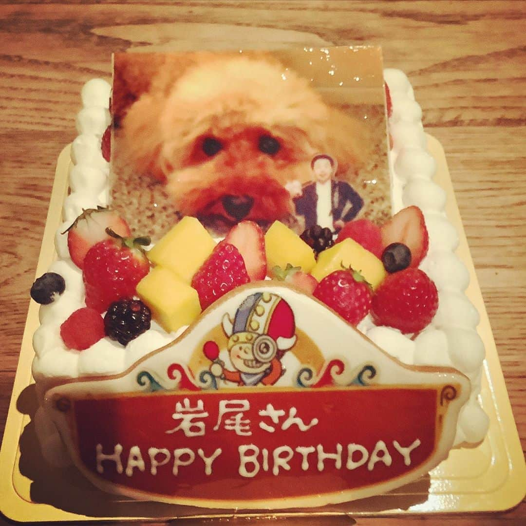 岩尾望さんのインスタグラム写真 - (岩尾望Instagram)「ケーキを撮ってたら、それを嗅ぎつけて現れたつくし。」12月21日 8時05分 - iwaotsukushi