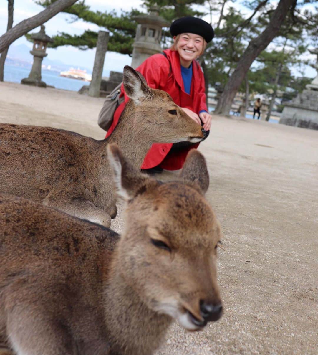 和田美枝のインスタグラム：「鹿さん先頭に並んでみた🦌  #先頭は #鹿 #横でみていたご夫婦が #私らもその後ろ並ばせてもらお〜 #言うてた #どーぞなんて言っちゃって #🦌🦌🦸🏼‍♀️」