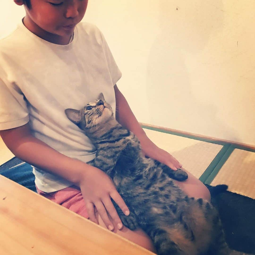 makicocomoさんのインスタグラム写真 - (makicocomoInstagram)「Let’s watch the TV together. ・ ・ まだ半袖短パンの惇郎です。」12月20日 23時11分 - makicocomo