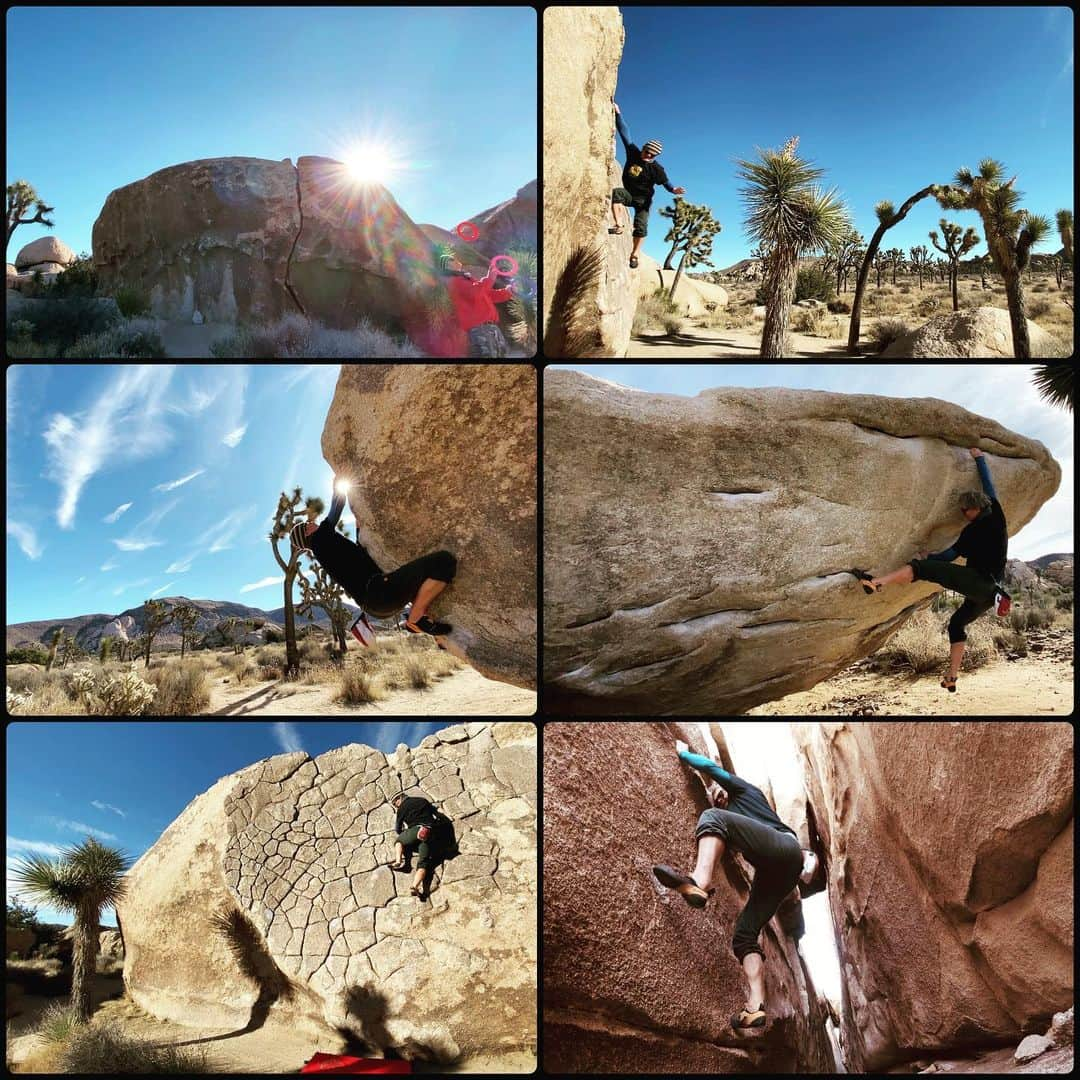 ウド・ノイマンさんのインスタグラム写真 - (ウド・ノイマンInstagram)「more from Joshua Tree #noplacetoofar #boulderingisthebest #rockclimbing #bouldering #boulderingpicturesofinstagram #lovethedesert」12月21日 0時29分 - _udini_