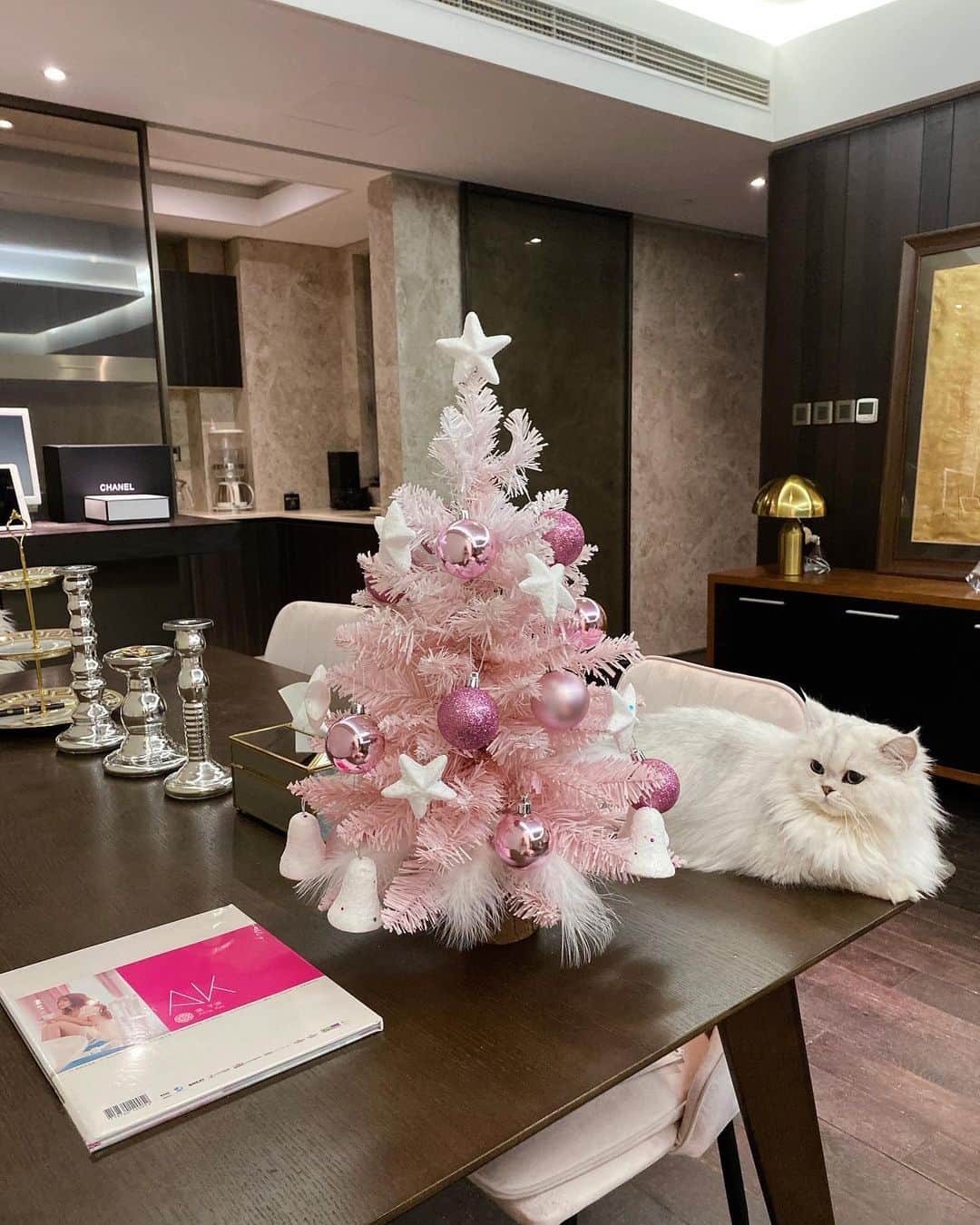 アンナ・ケイのインスタグラム：「Im first time to install a Christmas tree😅#🎄 #christmas  #pink  #album  #cat」
