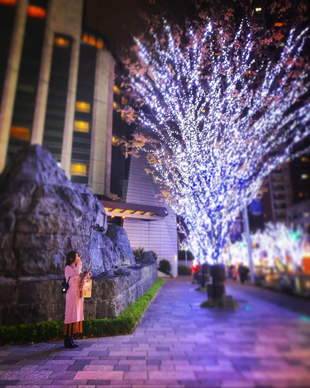 澤田友美さんのインスタグラム写真 - (澤田友美Instagram)「. けなげに信号の向こうで待っていてくれているmii💕💕💕😂🥰 @miispacedesign . おかえり…💐」12月21日 0時48分 - tomomi__sawada