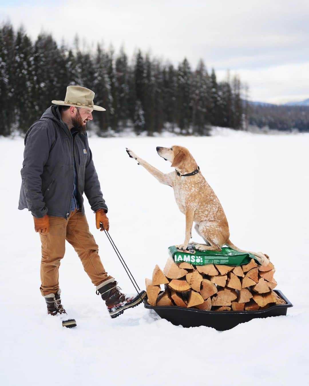 マディのインスタグラム：「It’s gonna be a such a good winter out in Montana with my best friend ✨ #ad #IAMS dog food makes it easy to give Maddie a breakfast she loves with good grains for healthy energy to keep her by my side all day – because we’re both happiest in the snow. Check out the link in my bio for more on the connection between dog and human health from the good folks over at @IAMS. #IAMSWhoIAm」