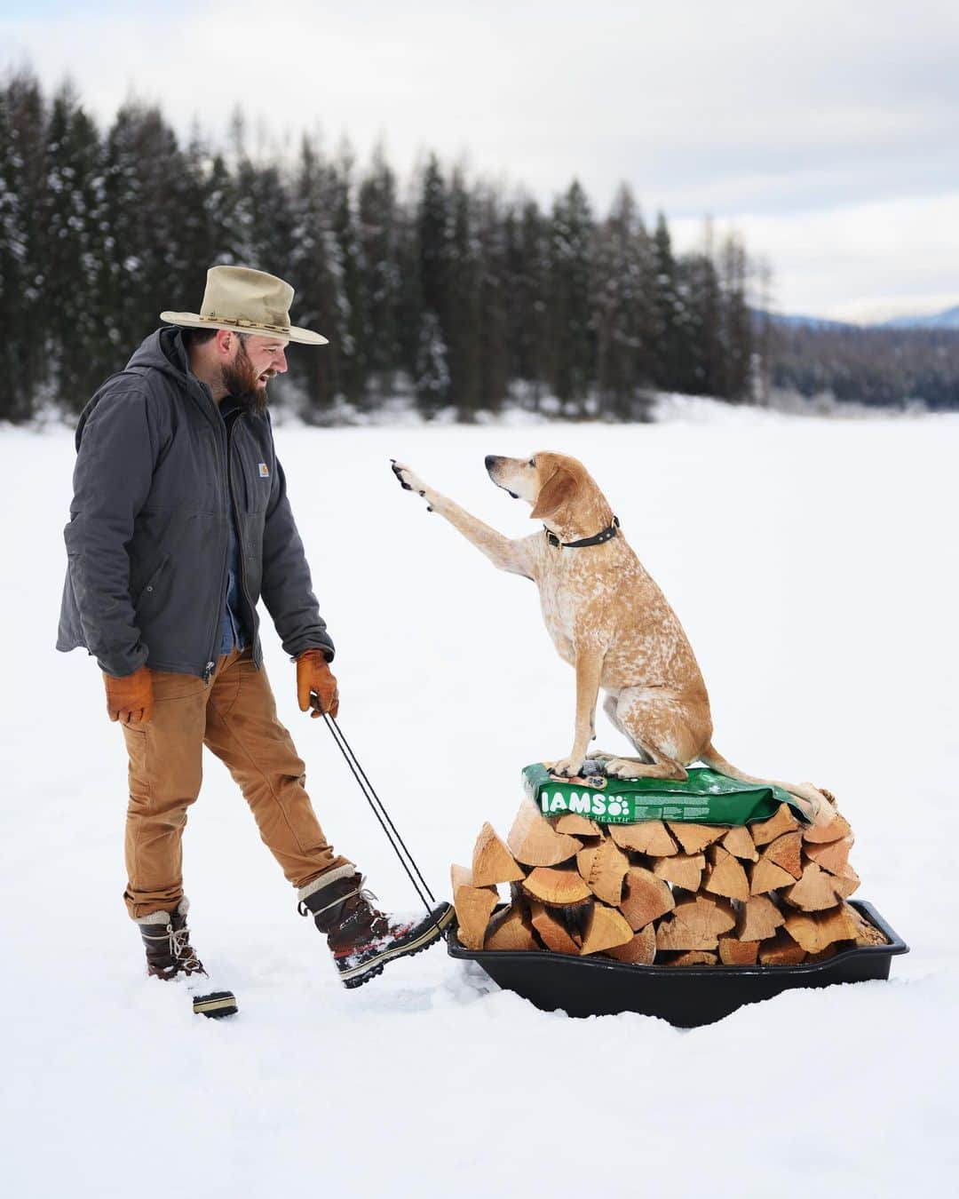 マディさんのインスタグラム写真 - (マディInstagram)「It’s gonna be a such a good winter out in Montana with my best friend ✨ #ad #IAMS dog food makes it easy to give Maddie a breakfast she loves with good grains for healthy energy to keep her by my side all day – because we’re both happiest in the snow. Check out the link in my bio for more on the connection between dog and human health from the good folks over at @IAMS. #IAMSWhoIAm」12月21日 1時17分 - thiswildidea