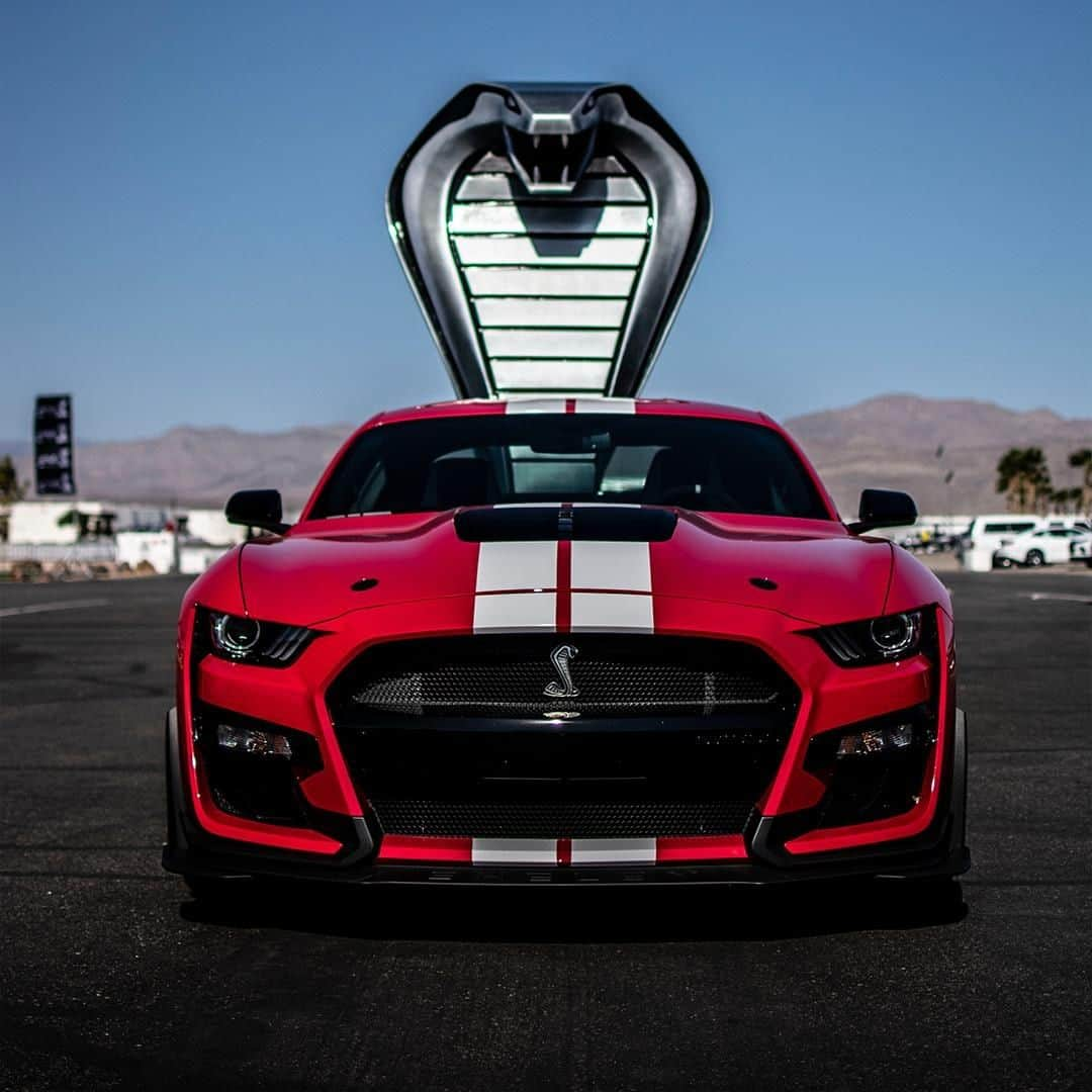 Fordさんのインスタグラム写真 - (FordInstagram)「Snake bite. #FordMustang #ShelbyGT500 #GT500TrackTour . Shelby and GT500 are registered trademarks of Carroll Hall Shelby Trust.」12月21日 2時00分 - ford