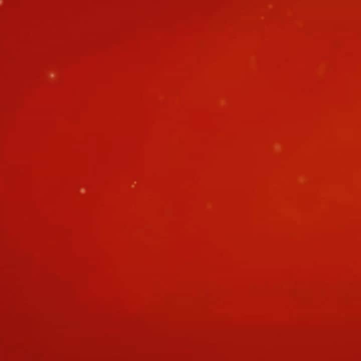 mori_no_tsukueのグルメインスタ