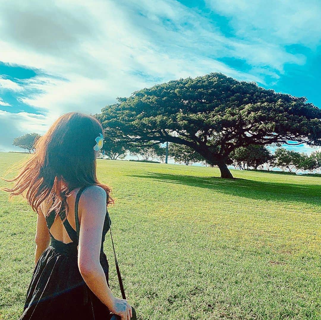 内山絵里加さんのインスタグラム写真 - (内山絵里加Instagram)「・ ・ このー木なんの木 気になる木〜🌳は monkeypodという木 なんですって。 ・ 雨が降る前に葉を閉じるから rainy treeという別名も。 ・ 自然に生かされていることを 改めて感じました。 とっても素敵な木🌳 お気に入りです。 ・ ・ #ハワイ #Hawaii #この木なんの木 #monkeypod #生命力 #SBS #静岡放送 #アナウンサー #内山絵里加 #ハワイ旅行記書いてたらもう行きたい」12月21日 17時25分 - erika.uchiyama1129