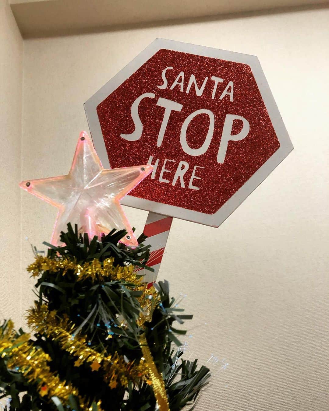 木庭弥生のインスタグラム：「SANTA STOP HERE!!! . . #早くサンタさんに手紙書いて！ #お願いだから早く書いて！😂」