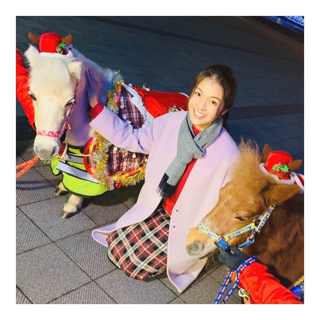 福田典子さんのインスタグラム写真 - (福田典子Instagram)「先日のよじごじDaysの中継でお世話になったポニーちゃんたち、本当に可愛かったです🐴💓 ㅤㅤㅤㅤㅤㅤㅤㅤㅤㅤㅤㅤㅤ 年内は12月24日まで毎日、 年明けは1月4日から3月29日まで金土日祝で「東京メガイルミ2019-2020」が開催されていますので、ぜひ足を運んでみてください🎄💝 ㅤㅤㅤㅤㅤㅤㅤㅤㅤㅤㅤㅤㅤ 今日、SPORTSウォッチャーを担当します。ぜひご覧ください。 ㅤㅤㅤㅤㅤㅤㅤㅤㅤㅤㅤㅤㅤ #大井競馬場 #ポニー #イルミネーション」12月21日 16時26分 - norikofukuda212