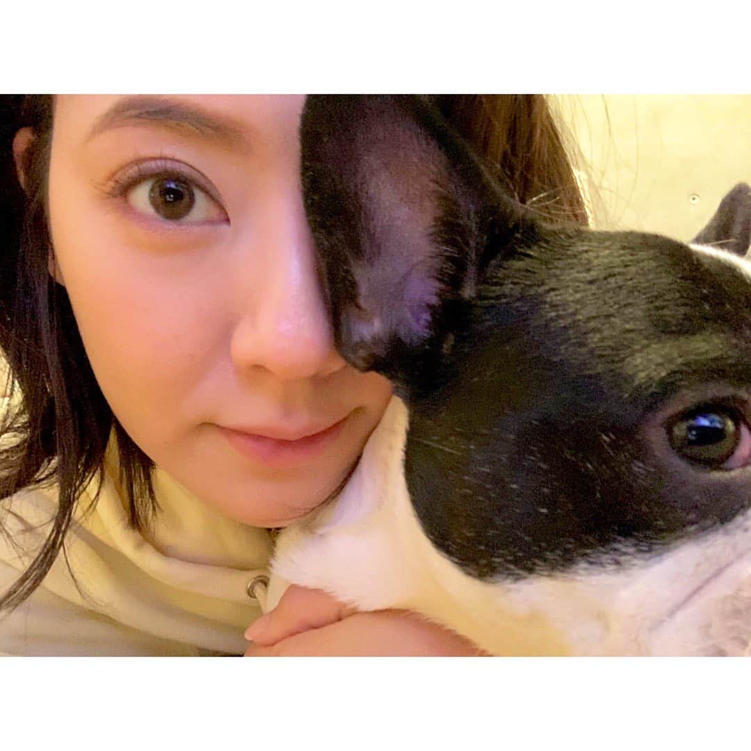 のインスタグラム：「Good morning☀️ * * #frenchbulldog #frenchie #buhi #me #dog #pet #cutie #sweetie #instadog #family #dogstagram #gm #morning #goodmorning #eye #eyes #フレンチブルドッグ #フレブル #ブヒ #犬 #ペット #愛犬 #いぬすたぐらむ #犬バカ #親バカ #いぬバカ部 #中田奈沙 #ブサカワ #目 #おはよう」