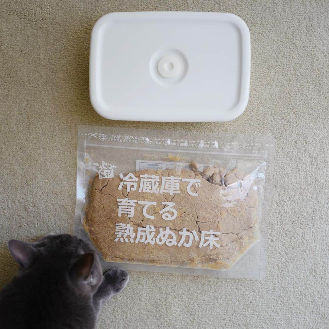 のインスタグラム：「. 冷蔵庫でぬか漬け始めました🙋‍♀️ 一度だめにしてしまってから諦めていたけど、リベンジ🧟‍♀️」