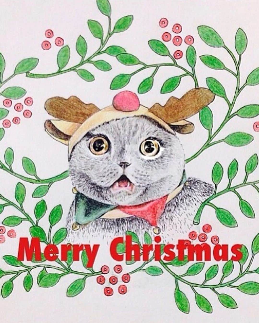 Millaさんのインスタグラム写真 - (MillaInstagram)「This weeks we decided to do a festive #FBFFanFriday of holiday artwork Milla’s followers have created throughout the years! 🎨 THANK YOU ALL for the  stunning holiday artwork! 😻🎅🏼Make sure to use #millathecat for a chance to be featured! 🎄#millathecat #HolidayArt」12月21日 10時47分 - millathecat
