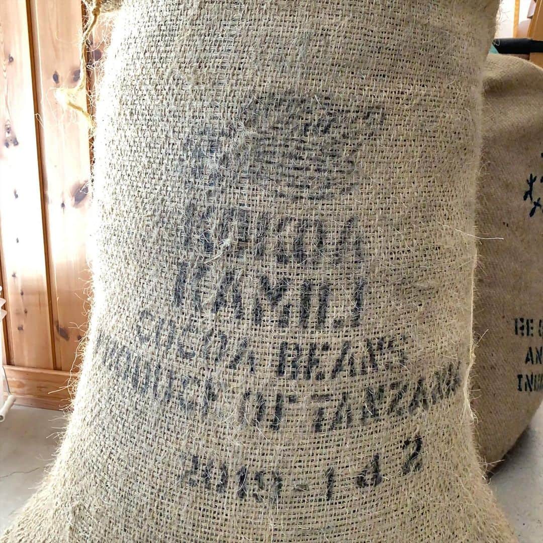 Concheのグルメインスタ