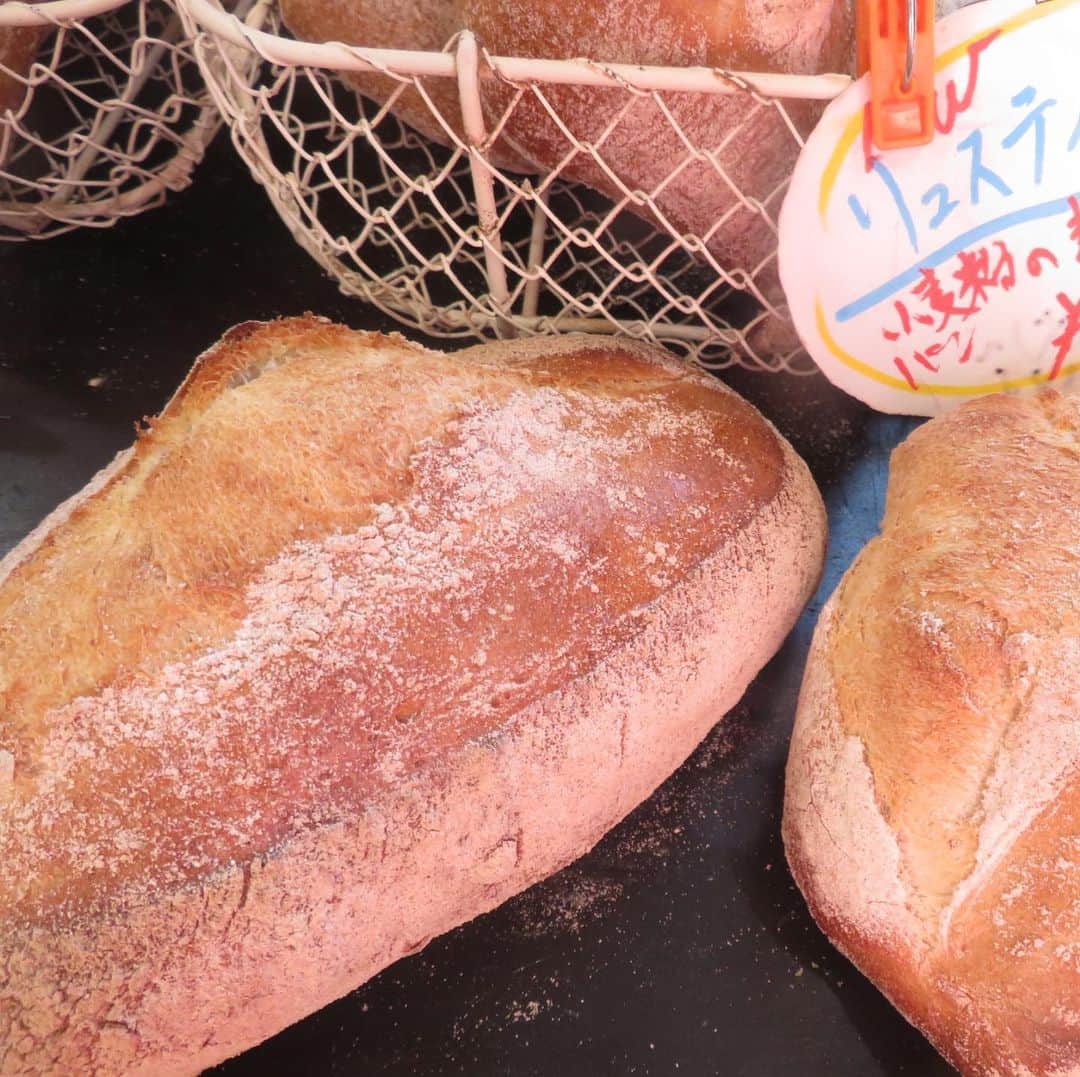 魔女菅原さんのインスタグラム写真 - (魔女菅原Instagram)「塩分が通常のパンの1/3〜1/4とわずかなパーネトスカーナ。 小麦と水と酵母と塩というシンプルなパンです。  #自家製天然酵母のパン屋さんカンパーニュ #ハード系 #塩分極小 #発酵種法 #魔女菅原」12月21日 11時52分 - hatsuyosugawara