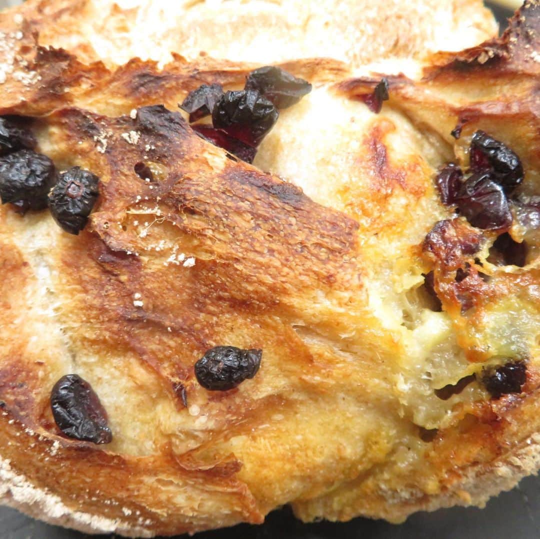 魔女菅原のグルメインスタ