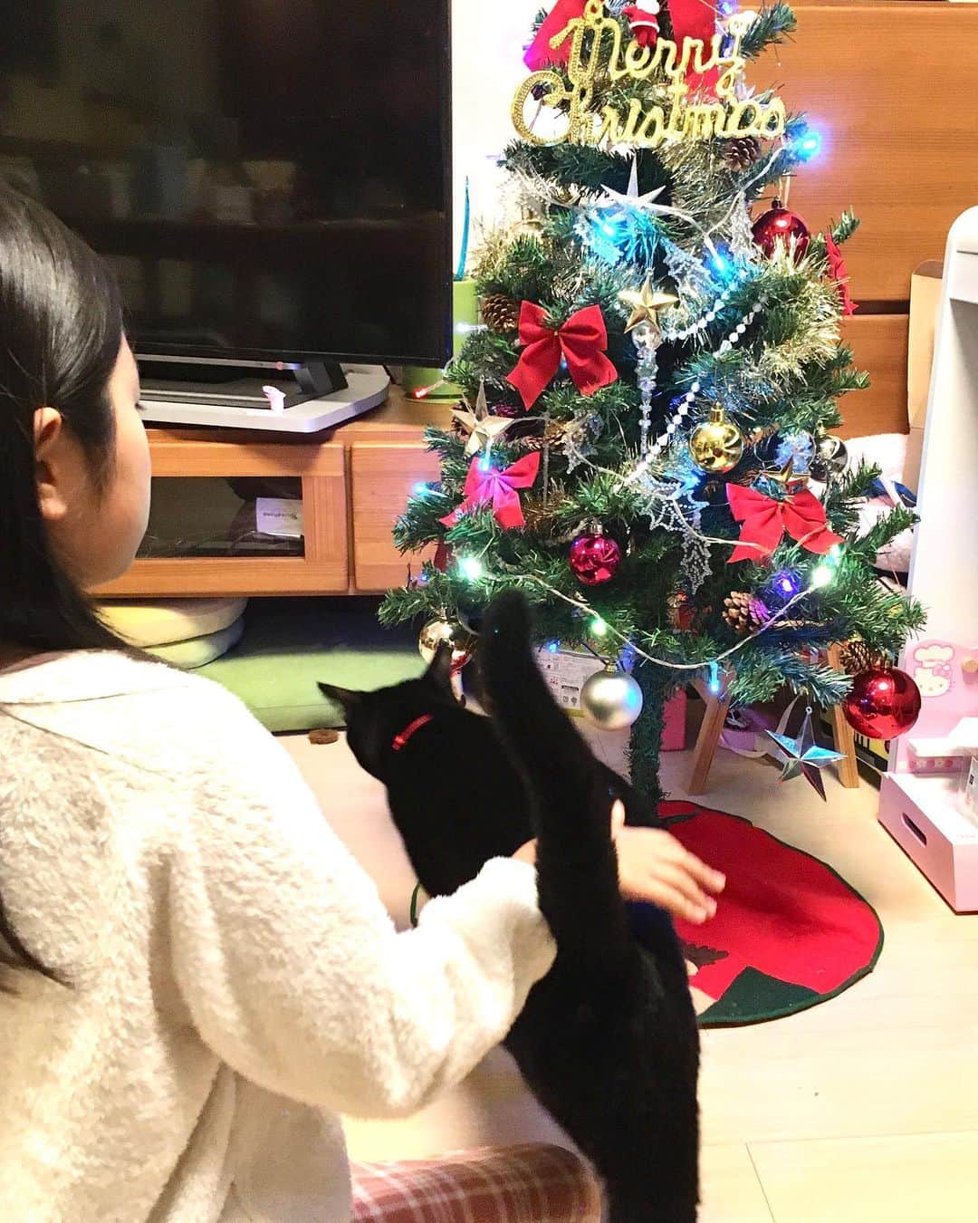 しおやてるこさんのインスタグラム写真 - (しおやてるこInstagram)「黒猫の激しい妨害を受けつつ、どうにかクリスマスツリー設置🎄黒猫が運動会始めたら確実に倒されるからそのときは避難させないとな…😂 #黒猫」12月21日 17時38分 - shiochin1129