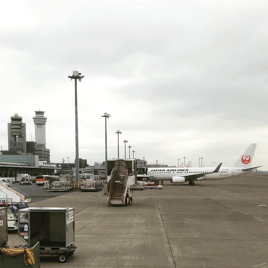 のインスタグラム：「Good morning from #HanedaAirport #flyjal #JAL #Japanairlines #JGCDiamond #OneworldEmerald #B738 @japanairlines_jal #日本航空 #羽田空港 #おはようございます #金子三勇士 #ピアニスト #旅人 #ワンワールドエメラルド #JGCダイヤモンド」