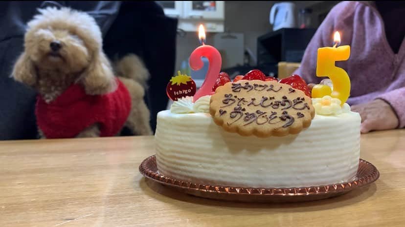 のインスタグラム：「誕生日でした ・ 25歳になりました(四捨五入して30) 24歳も色々ありました ・ 今は事務所の先輩である神保悟志さんの現場でお手伝いをさせていただきながら 芝居の勉強をする日々です ・ 本当に環境が変わった1年でした ・ 行動しないと変わらないので 勤勉さと行動力を忘れずに 25歳の歳も頑張ります ・ #hbd #happybirthday #誕生日 #25歳 #ケーキ #cake #ホールケーキ #誕生日ケーキ #birthday #役者 #俳優 #actor #12月 #December #1216 #実家 #誕生日プレート #photography」