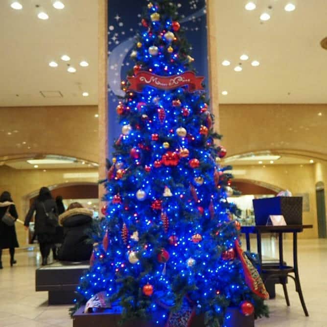ニューオータニイン札幌さんのインスタグラム写真 - (ニューオータニイン札幌Instagram)「今年もクリスマスシーズン限定の「クリスマスディナーブッフェ」スタートいたしました 2019年12月21日（土）～12月25日（水）まで お問合せは▼ 011-222-1522  #ホテル #クリスマス#ディナー #ブュッフェ#バイキング #聖夜#Xmas#レストラン#札幌#クリスマスメニュー#ディナー #素敵なフォルム#ニューオータニイン札幌#デート#ローストビーフ #ローストチキン#肉#肉肉」12月21日 17時55分 - newotani_inn_sapporo