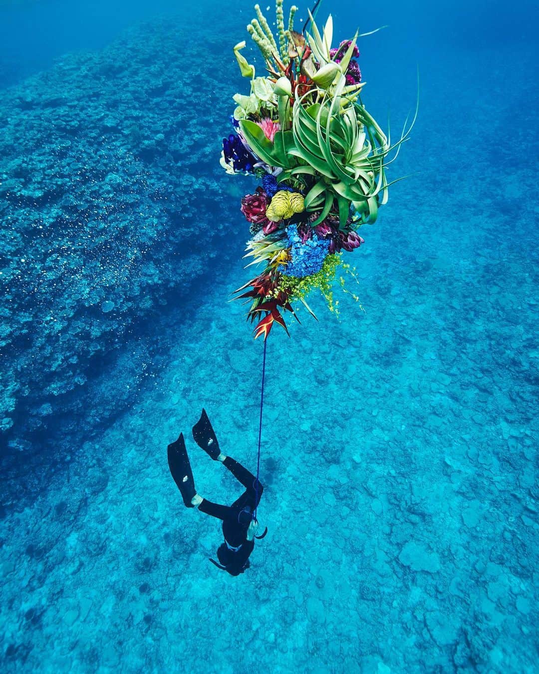 椎木俊介のインスタグラム：「FLOWER AND MAN - Diver -  #azumamakoto #shiinokishunsuke #amkk #amkkproject #flowerandman #flowers #flowerart #東信 #東信花樹研究所 #makotoazuma #diver #diving #海人」