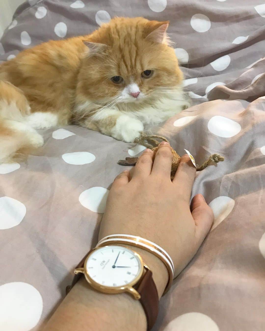 Haruのインスタグラム：「loved ones smile! 😎 Gifts of time and love are surely the basic ingredients of a happy holiday! ❤ Enjoy 20% off when purchase any two items or above and don’t forget to use my code harudw19 to get an EXTRA 15% off and save up to 32% off in total. Get your perfect gifts now at www.danielwellington.com . P.S. They also take care of gift wrapping so you have one thing less to worry! #DanielWellington #DWThailand #DWinTH」
