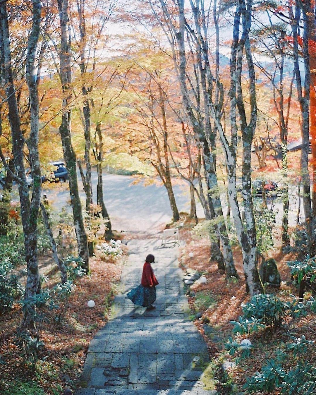 haru wagnusさんのインスタグラム写真 - (haru wagnusInstagram)「Irodoru Kaori ㅤㅤㅤㅤㅤㅤㅤㅤㅤㅤㅤㅤㅤ ㅤㅤㅤㅤㅤㅤㅤㅤㅤㅤㅤㅤㅤ  秋から冬への香り。 好きな香りです。 空気は冷たい。 草木が染み込んでいく。 色味の記憶だけ遺るんです。 毎年ね。 ㅤㅤㅤㅤㅤㅤㅤㅤㅤㅤㅤㅤㅤ ㅤㅤㅤㅤㅤㅤㅤㅤㅤㅤㅤㅤㅤ #秋から冬へ  #leicaphotography #pro400h」12月21日 19時48分 - wagnus
