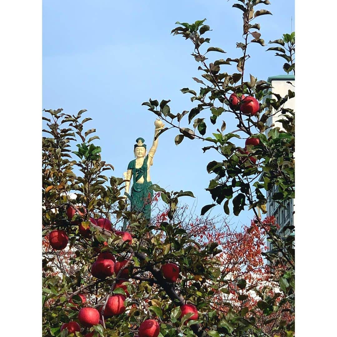 南圭介さんのインスタグラム写真 - (南圭介Instagram)「彼は決して、りんご狩り観音様ではない。  It looks like apple picking.  tidak ambil apel🇮🇩 #りんご大観音 #青森  #りんご狩り #applepicking  #りんご狩り観音　#ではない」12月21日 20時52分 - keisuke_minami73