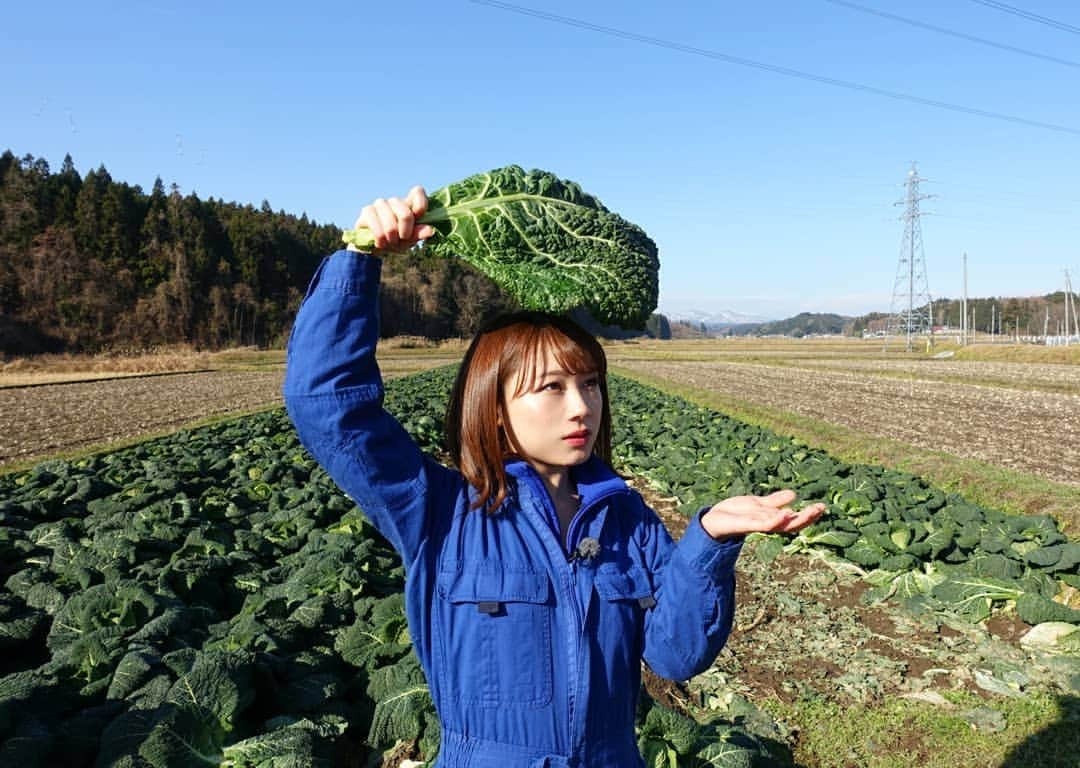 石田亜佑美さんのインスタグラム写真 - (石田亜佑美Instagram)「. . 仙台放送「あらあらかしこ」本日放送されました 「石田亜佑美が行くっ！～サボイキャベツ編～」 . 普通のキャベツよりも葉1枚1枚が厚くしっかりしていて、火を通すとぐんと甘く美味しくなる野菜です。"サボイ"というのはフランスのサボイ地方から取った名前だそうです。 . . 美味しく調理してくださったのは「きりん」さん #おひたし #ピクルス #温野菜サラダ #グリル #メンチカツ 本当に全部全部美味しかったぁ♥️ . サボイキャベツを提供しているお店は少ないのですが、この機会に「きりん」さんにてメニュー化されます！ぜひ味わってみてください！ . . #サボイキャベツ #キャベツ#西洋野菜 #1玉800円 #高級食材 #宮城 #加美町 #出荷量日本一 #畑 #仙台放送 #あらあらかしこ #morningmusume19 #モーニング娘19 #石田亜佑美」12月21日 21時35分 - ayumi_ishida.official