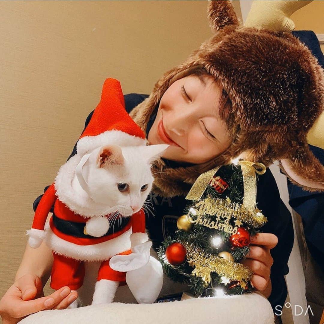 ひなたのインスタグラム：「今年は何人にチュールプレゼントしにいきやすか？！ soda使ったんやけど使ったフィルターの発色が綺麗ですき。 寒くなった後にあったかいところに入ってほっぺた赤くなるのもかわいいすき。  #soda #漏れなく盛れます #instagood #photography #毎年サンタとトナカイはたぶんこんな感じ」