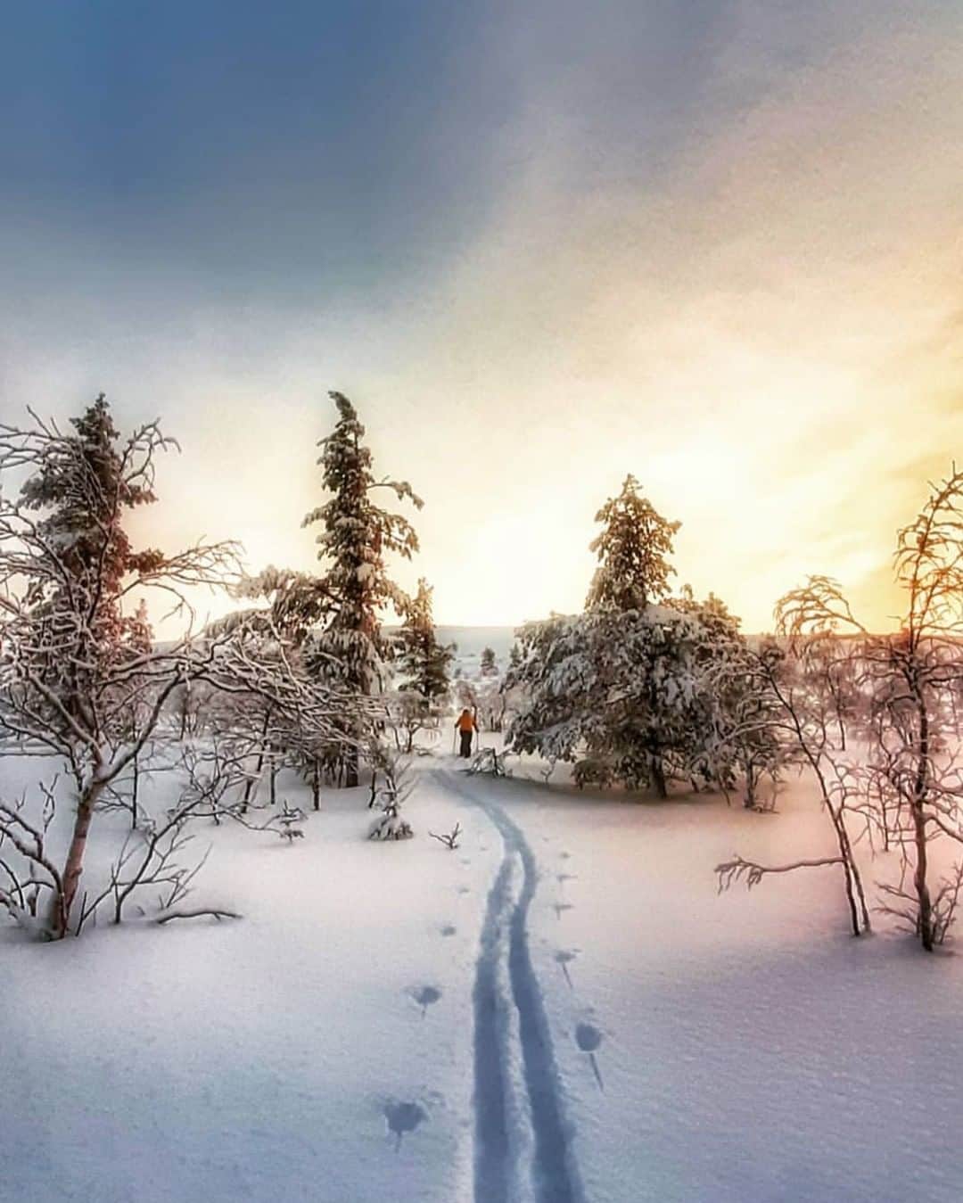 フィンランド政府観光局さんのインスタグラム写真 - (フィンランド政府観光局Instagram)「冬の大自然の中を歩いていると、ちょっとした冒険に出かけてような気分になれます。写真の場所は、フィンランドにある40の国立公園の一つ、パッラス・ユッラストゥントゥリ国立公園です。 ． @tormanentommi さんの写真。Kiitos!  #visitfinland #ourfinland #visitfinlandjp # #finland #北欧旅行 #travelgram #フィンランド #フィンランド政府観光局 #北欧 #travel #instatravel #自然 #travel #travelgram #travelling #traveler #lapland #ラップランド #雪 #冬」12月21日 21時48分 - visitfinlandjapan