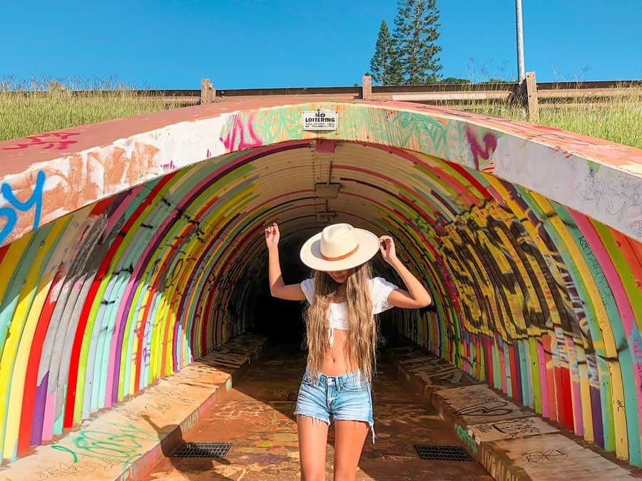 Mihoさんのインスタグラム写真 - (MihoInstagram)「mililani rainbow tunnel🌈 ノースへ撮影行った帰りに寄り道🚘💭💕 ・ 毎週連載してるハワイ動画も更新したよ🤙🏽🤤今回はわたしの大好きな @freepeople へ行ってまいりました🛒 ・ 詳しくはハイライトに設置した【yahoo!creators】のリンクから動画をチェックしてみてね🎬🖤 --- #march16mhawaii #Hawaii#yahoojapan #oahu#vlog」12月21日 22時14分 - march16m