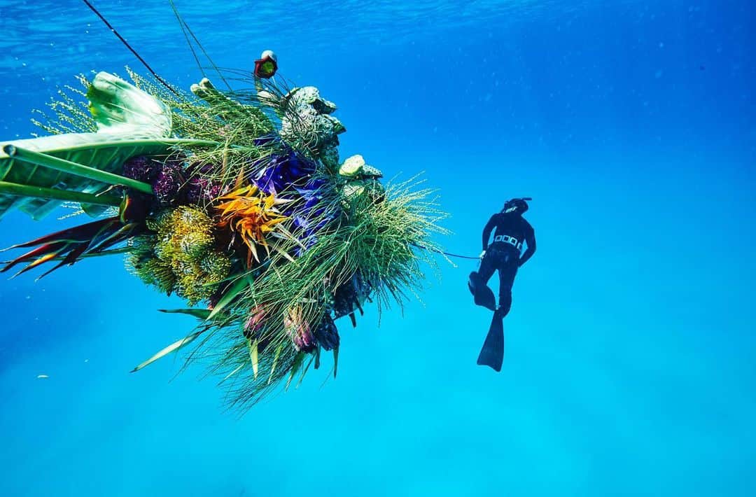 椎木俊介のインスタグラム：「FLOWER AND MAN - Diver -  #azumamakoto #shiinokishunsuke #amkk #amkkproject #flowerandman #flowers #flowerart #東信 #東信花樹研究所 #makotoazuma #diver #diving #海人」