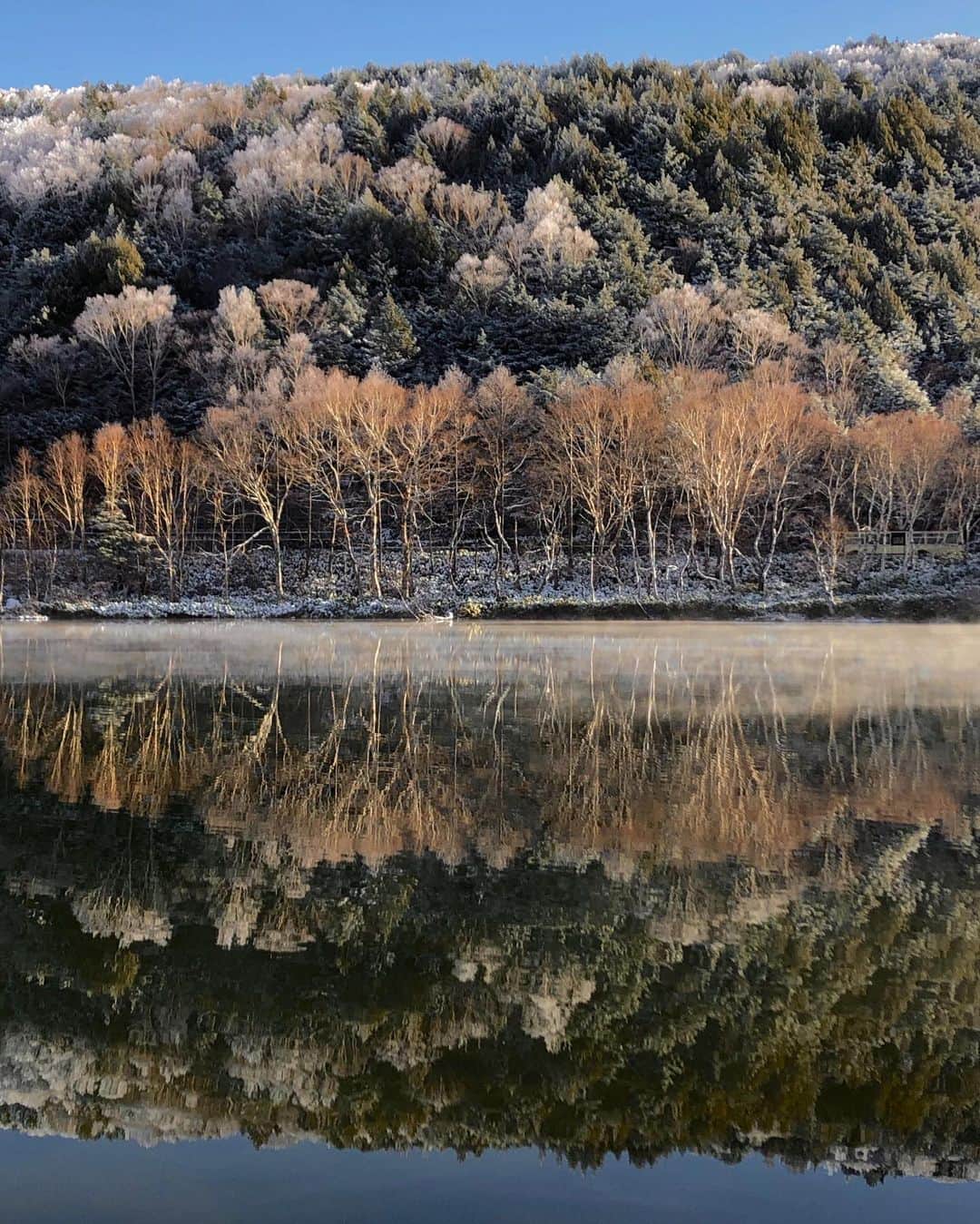 Koichiのインスタグラム：「| Winter lake . . #ShotOniPhone Attachment lens by @tokyo_grapher #TG_Tele #ShotOn_TG .」