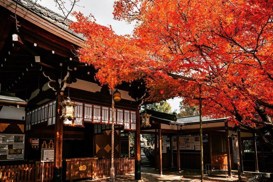 京都いいとこフォトさんのインスタグラム写真 - (京都いいとこフォトInstagram)「. 境内に芸能神社があることで有名な車折神社。 本殿前の紅葉は見事でした。​ . Kuramaori Shrine is famous for having a performing arts shrine on the precincts. The autumn leaves in front of the main shrine were wonderful. .​​​ Location : #車折神社​ #kurumazakishrine Photo : @kohei713 Date : 2019.12.12 .​」12月21日 23時06分 - kyoto_iitoko