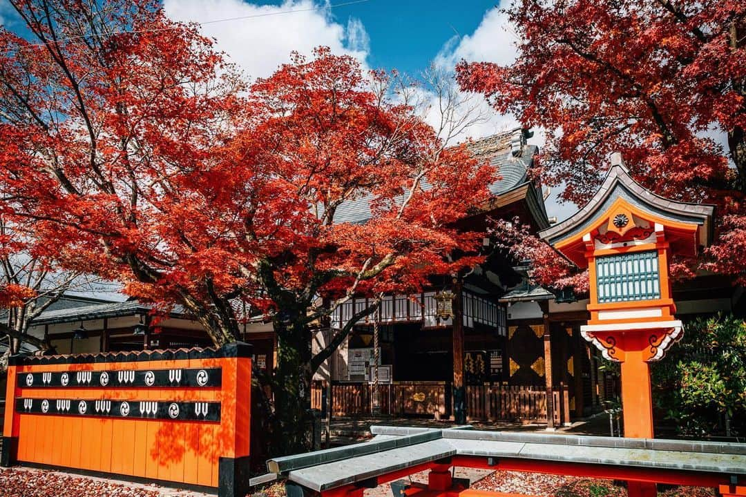 京都いいとこフォトさんのインスタグラム写真 - (京都いいとこフォトInstagram)「. 境内に芸能神社があることで有名な車折神社。 本殿前の紅葉は見事でした。​ . Kuramaori Shrine is famous for having a performing arts shrine on the precincts. The autumn leaves in front of the main shrine were wonderful. .​​​ Location : #車折神社​ #kurumazakishrine Photo : @kohei713 Date : 2019.12.12 .​」12月21日 23時06分 - kyoto_iitoko