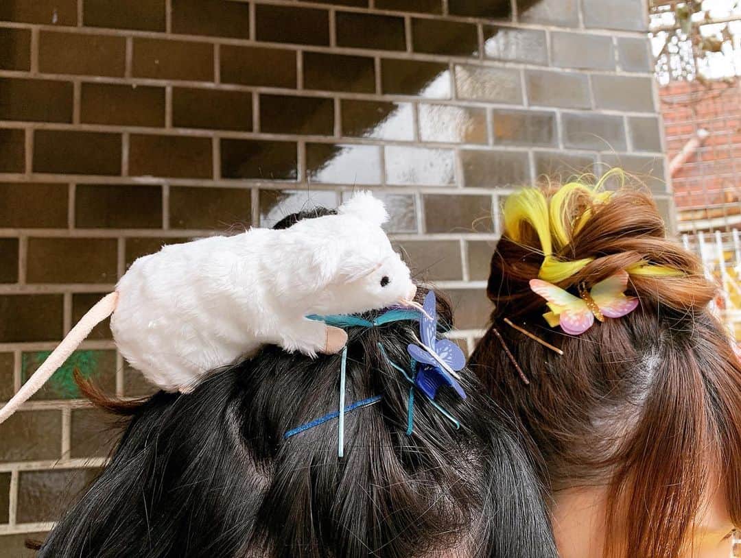 紅林大空さんのインスタグラム写真 - (紅林大空Instagram)「🦋🦄🐁 #カワイイヘアサロン #kawaiihairsalon produced by @kurebayashiii ✨ ⋆ 原宿竹下通り商店会の冬のイベントを 私がプロデュースしています❣️ 今週末は２日間限定のヘアサロンが登場。 ⋆ プロが作る可愛いスタイルをそのまま持って帰れる夢のような企画☺︎ みんなの笑顔が忘れられません❤️ #2019ハッピーウィンター」12月22日 0時58分 - kurebayashiii