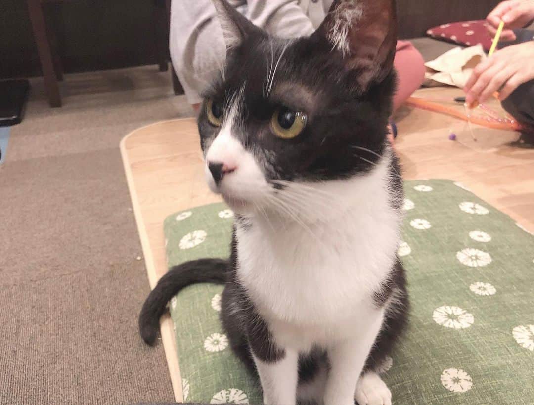 まさき沙耶のグルメインスタ