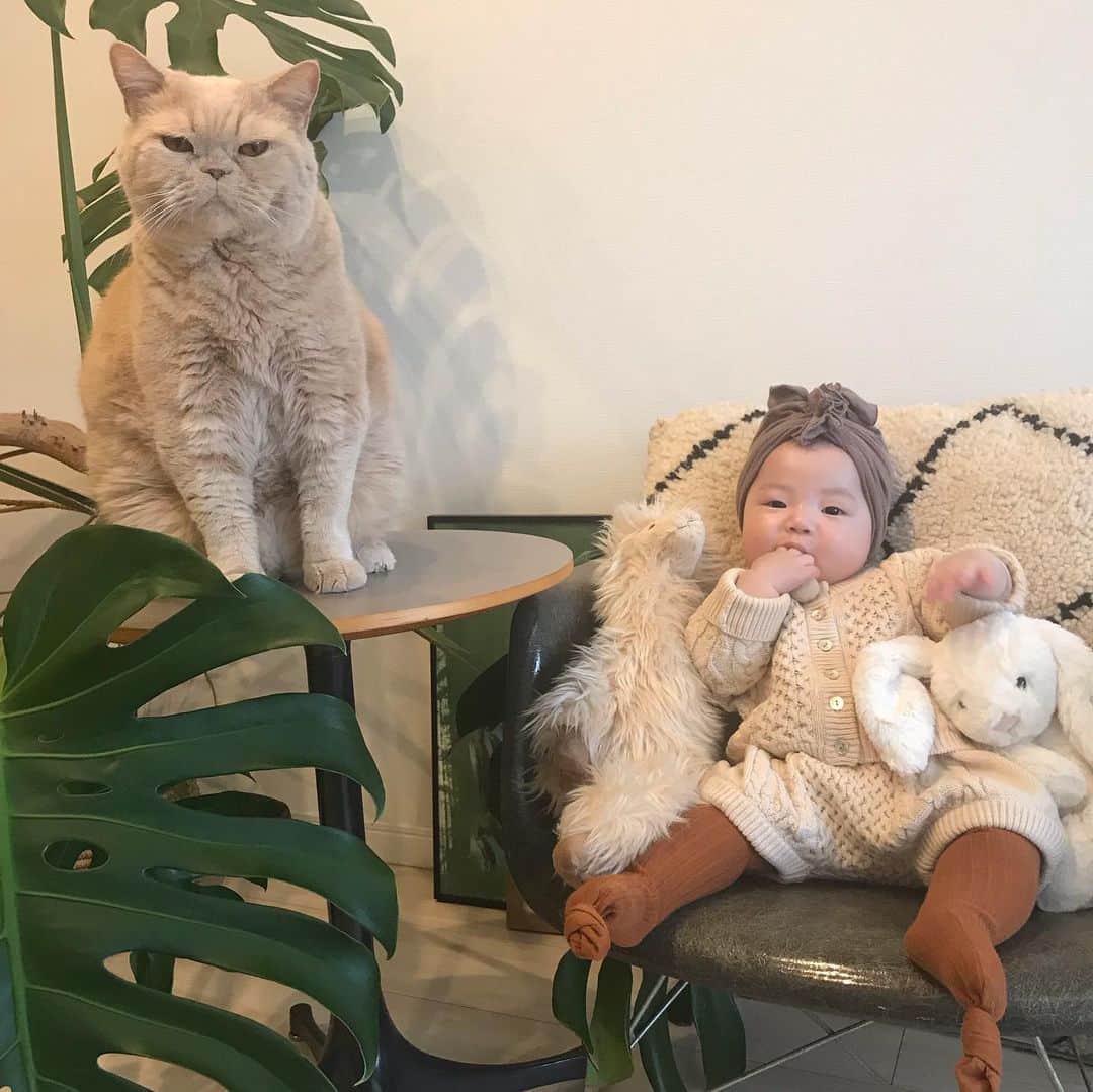 濱中鮎子のインスタグラム：「今日もチャイにぃと。  @suessbaby  のニット、軽いのにしっかりしていてかわいい！！ 購入したものは3枚目の写真！  25日まで新宿伊勢丹6F @isetan_shinjuku_baby_and_kids  でポップアップショップを展開してます！  信頼出来るママデザイナーによる、しっかりとした物作りに共感です。  おすすめですー😊  服育スタート！👶 #suessbaby」