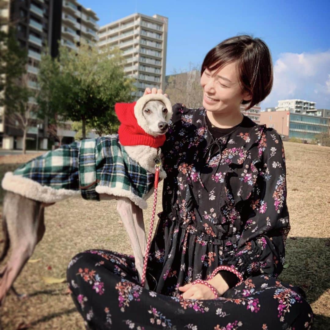 のインスタグラム：「* ******** Howl will be an older brother next spring👶🐶💓 * この度新しい命を授かりました。 春には家族が増えることになります😊 妊娠後期に入り、お腹の膨らみもだいぶ分かるようになってきました🤰 一人っ子を満喫してきたハウルは、新しい家族にどんな反応をするのか、ドキドキです👶🐶💓 * ******** #イタグレ#イタリアングレーハウンド#italiangreyhound#dogstagram#イタグレとの暮らし#iggysofinstagram#iggygram #iggylove#iggylife#犬のいる暮らし#イタグレ服#iggysoftheworld #iggysofinstagram #dogsofig #dogsofinstagram #プチプラコーデ #犬好きな人と繋がりたい#オシャレさんと繋がりたい#犬服ハンドメイド#リンクコーデ#おんせん県おおいた#マタニティ#プレママ」