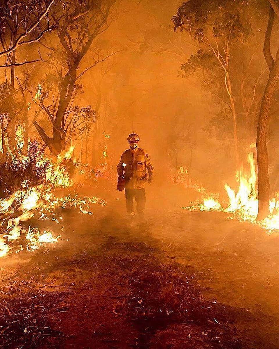 シャーニ・ヴィンソンのインスタグラム：「After spending the past few weeks anxiously monitoring the Australian bushfires, the Currowan Fire in Shoalhaven NSW is currently burning impossibly close to our family farm on Burrill Lake. There is an emergency warning in place and the danger is catastrophic due to high temperatures, strong winds and low humidity which has made conditions extremely dangerous for our firefighters. I sincerely want to thank the NSW Rural Fire Service @nswrfs and all the volunteer firefighters across the country who have been risking their own lives to save our land, native animals, residents and homes. You are the true heroes of our nation and your bravery is unmatched. #thankyou #heroes #prayforAustralia 📸: @daniel_djk_knox 🙏🏼 🇦🇺 🔥 🚨⚠️👨🏻‍🚒」
