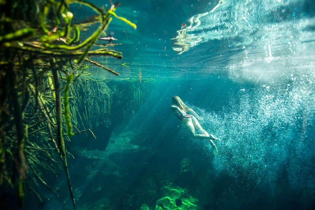 National Geographic Travelさんのインスタグラム写真 - (National Geographic TravelInstagram)「Photo by @emilypolar | The Yucatán Peninsula in Mexico contains a vast coastal aquifer system giving rise to thousands of sinkholes, or cenotes. The Casa Cenote is a landlocked aquifer that is still connected to the ocean. The mixing of freshwater and salt water results in a blurry swirling effect caused by refraction between the different densities. To see more of Mexico and beyond, follow me @emilypolar. #Mexico #Yucatan #cenote」12月22日 6時05分 - natgeotravel